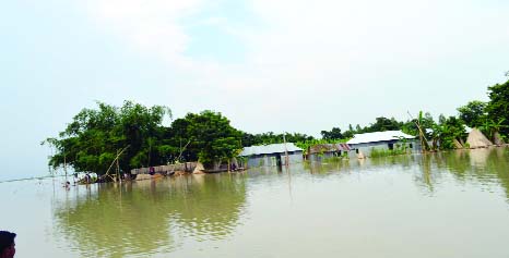 JAMALPUR: Almost houses at Ulia Village in Jamalpur have gone under flood water . This picture was taken yesterday.