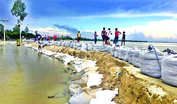 A big portion of the embankment waste away by flood in Gaibandha being repaired with sacks of sands with the help of local people arranged by BWDB at Singria point on Monday.