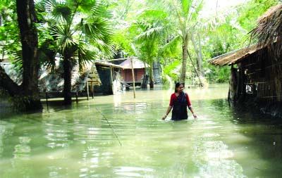 KHULNA: An inundated area of Dumuria Upazila. This picture was taken on Tuesday.