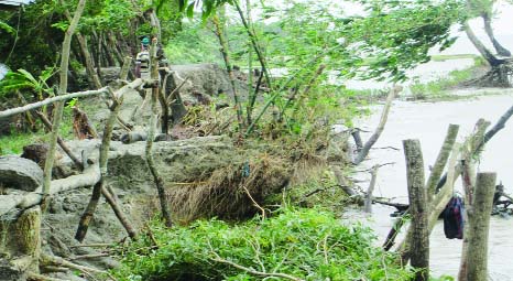 PATUAKHALI: The erosion of the River Tetulia has taken a serious turn at Dashmina Upazila recently. About seven kilometer area of Bashbaria, Dashmina, Ronogopaldi and Alipura areas have already been devoured.