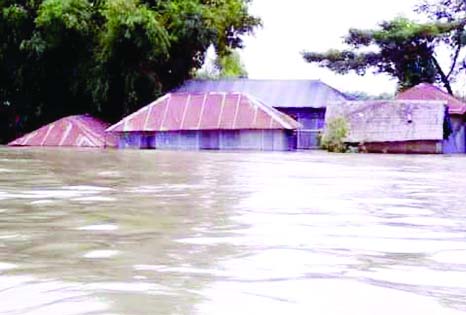 MONIRAMPUR (Jessore): An inundated area of River Kapatakkha basin in Monirampur. This picture was taken on Friday.