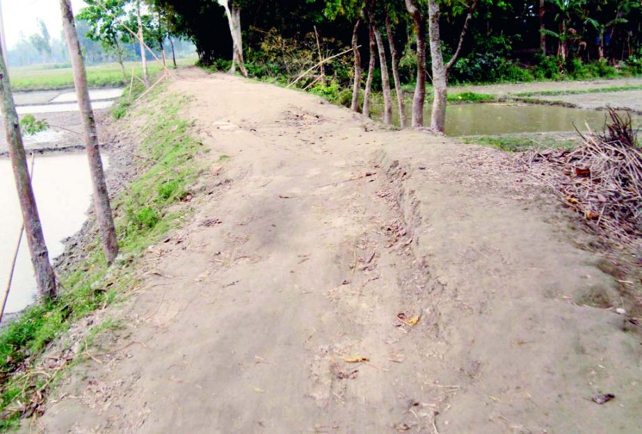 SAGHATA (Gaibandha): Flood damaged Thaikrerpara Road in Saghata Upazila needs immediate repair. This picture was taken yesterday.