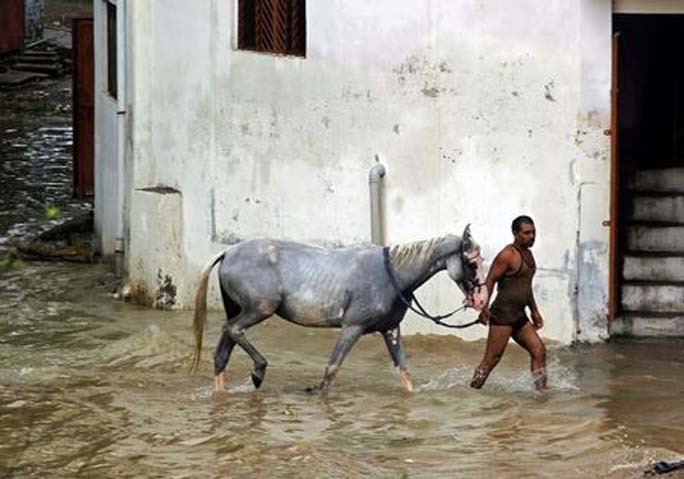 A man wades through water with a horse in a flooded residential colony in Allahabad, India on Wednesday.