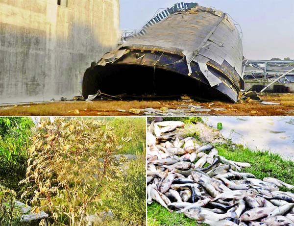 [Pictures clockwise] The reservoir of di-ammonia phosphate (DAP) plant in Chittagong, from where ammonia gas came out after Monday night's explosion, is still remained open as Engineers could not repair the broken portion. Fishes and other aquatic creatu