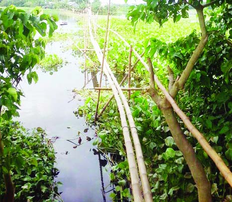 COMILLA: An iron bridge is needed immediately at Sadarpur Union in Muradnagar Upazila as thousands of people have to cross the bamboo bridge everyday for daily use. This picture was taken yesterday.