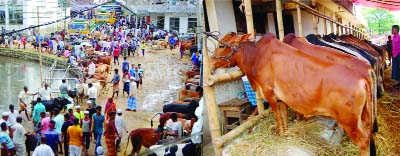 SYLHET: Buyers and sellers are passing busy time at Kazir Bazar on Wednesday.