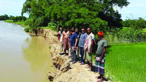 Kulaura(Moulvibazar): A view of River Dhalai and Laghata River erosion in Kamalganj Upazila yesterday.