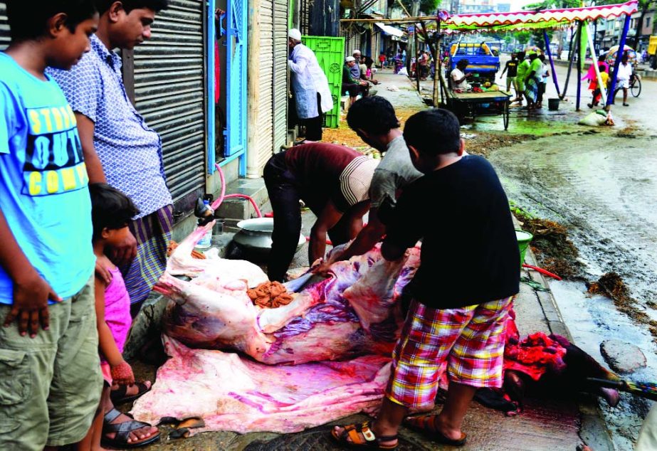 Cattle being slaughtered in front of their houses defying ban from the Dhaka South City Corporation on the day of Eid-ul-Azha. This picture was taken from Jatrabari area in the city on Tuesday.