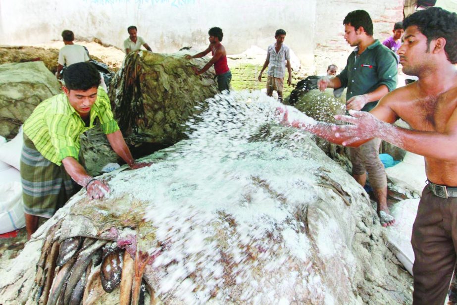 As part of processing, the tannery workers were seen using salts into the rawhides. The photo was taken from the city's Postogola area on Thursday.