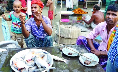 BOGRA; Fish traders in Baniyajan Bazar is selling harmful piranha fish. This picture was taken recently.