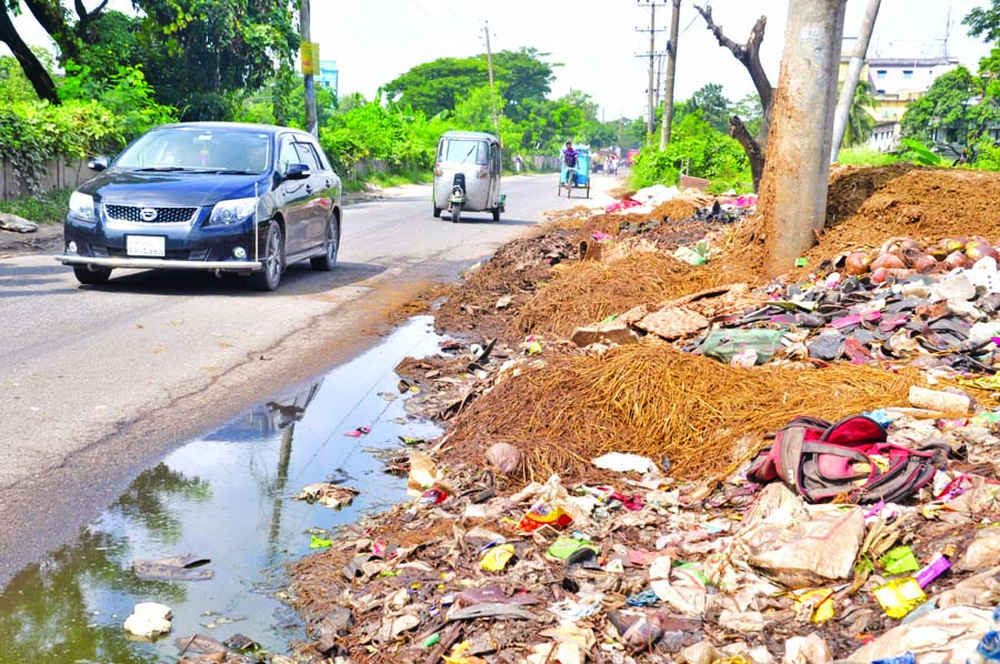 Wastages of sacrificial animals slaughtered during Eid-ul-Azha left beside Dhaka-Sylhet Highway spreading stench all over the area creating disturbance for the pedestrians and passengers as well. But the authority concerned seemed to be blind for removal