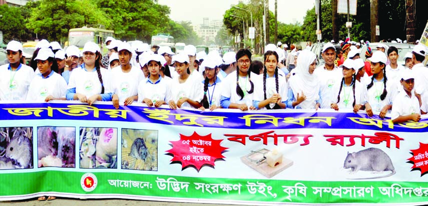 Plants Protection Wing, Agriculture Extension Department brought out a rally in the city's Manik Mia Avenue on Wednesday marking National Rat Killing Drive.