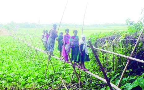 COMILLA: People have to cross a bamboo bridge taking risk at Khosgar village in Muradnagar Upazila of the district. A pucca bridge is urgently needed here.