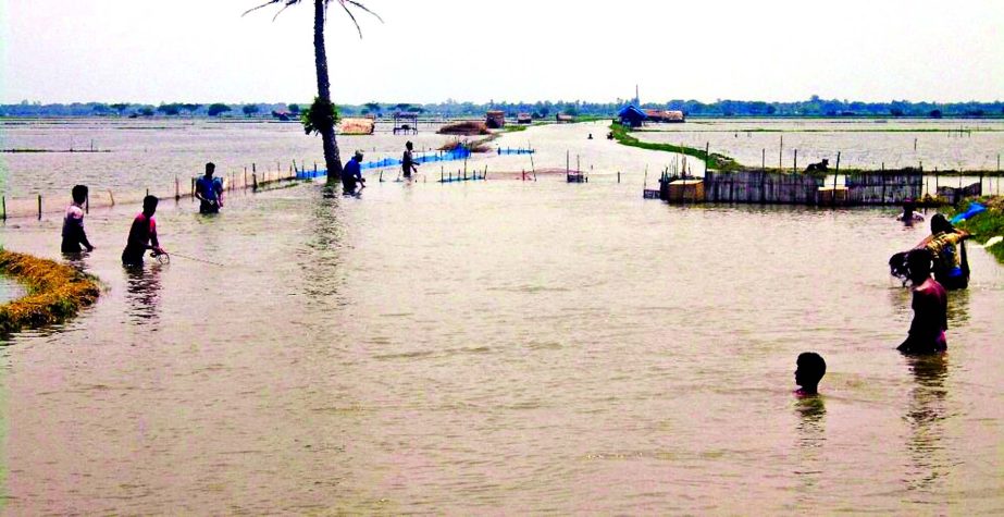 Several villages of Ashashuni Upazila of Satkhira were flooded as heavy tidal waters washed away embankment of Khol Kotia River on Sunday.