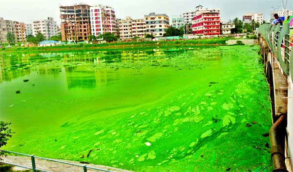 Solid waste mixed with garbage from sewerage lines flowing into the Hatirjheel-Begunbari Lake water spreading stench around the project area causing irritation to the visitors. This photo was taken from Rampura Bridge on Wednesday.