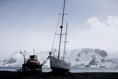A small amount of fishing for research purposes will be allowed throughout protected area in Antarctica.