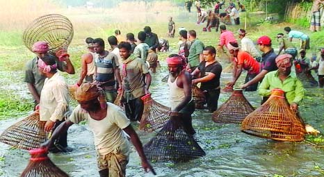 MANIKGANJ: A kind of traditional fishing using 'Polo' in water bodies in Ghior Upazila has gained momentum recently.