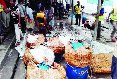 BARISAL: A team of Fishery Directorate and police seized fifty mounds of mother Hilsa and Jatka from Shaheed Abdur Rob Serniabad Bridge area of Barisal city on Friday.