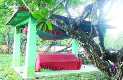 GOURIPUR (Mymensingh ): A view of the grave of Birangana Sakhina turns tourism spot in Gouripur.