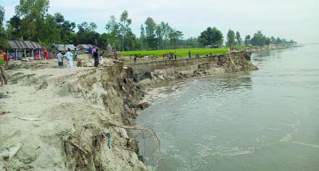 GAIBANDHA: Jamuna River erosion has taken a serious turn at Haldia and Chinirpotal area of Saghata Upazila of the district. This picture was taken on Wednesday.