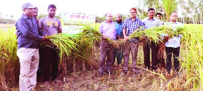 THAKURGAON: Harvesting of BRRI Dhan 72 paddy was inaugurated at Sarkerpara under Sadar Upazila on Thursday.
