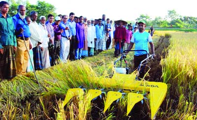 SYLHET: Ashok Kumar Biswas, Deputy Project Director, Farm Mechanism Project, Dhaka inaugurating harvest works by Riper machine marking Riper Exhibition and Field Day organised by Agriculture Extension Directorate, South Surma Upazila recently.