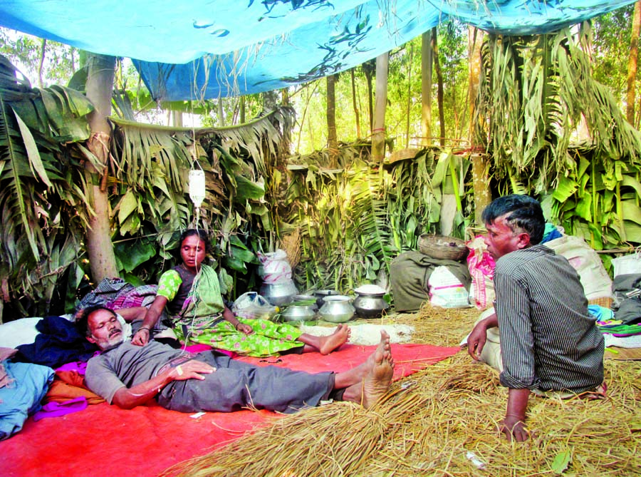 Some Santals who have lost their houses, valuables have been passing their days in a miserable condition living under the open sky at Gobindaganj. This photo was taken from Joypur adjacent to Shahebganj Sugarcane Farm on Monday.