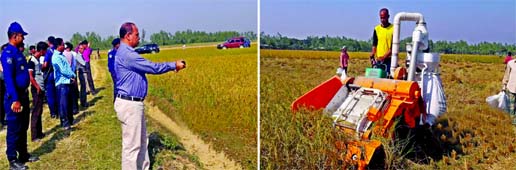 Rangpur Sugar Mills authorities harvesting paddy from Santals' disputed lands in Baghda farm area of Gobindaganj Upazila on Thursday following the High Court order amid police protection. Later, this paddy will be distributed among the Santal people.