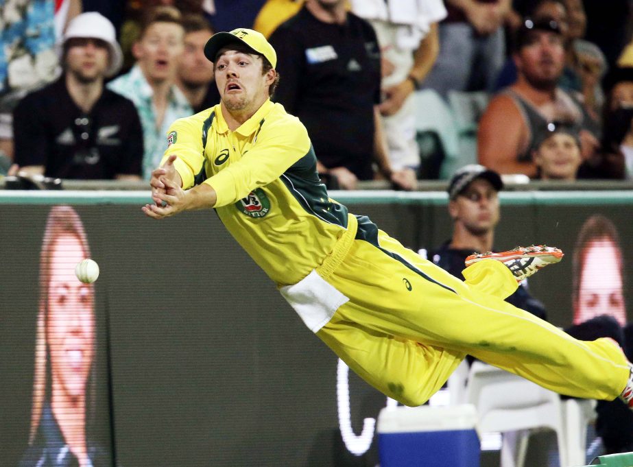 Australia's Travis Head dives in an attempt to catch the ball at the boundary during their One Day International cricket match against New Zealand in Sydney on Sunday.