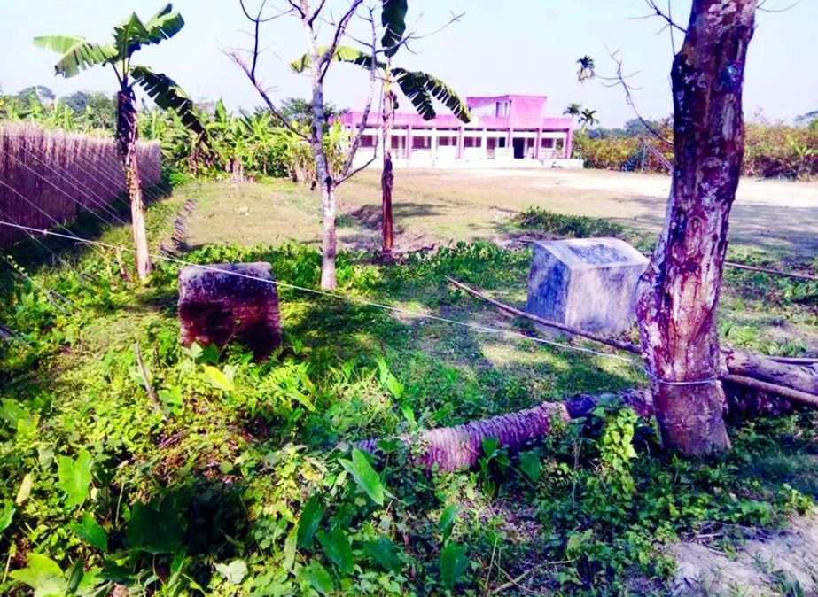 BANARIPARA (Barisal): The Martyred Intellectuals Memorial Gava Norerkathi in Banaripara needs renovation . This picture was taken yesterday.