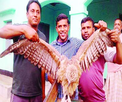 BOGRA: A rare Vulture was caught from Unchurkhi Beel in Gabtoli Poura area on Sunday.