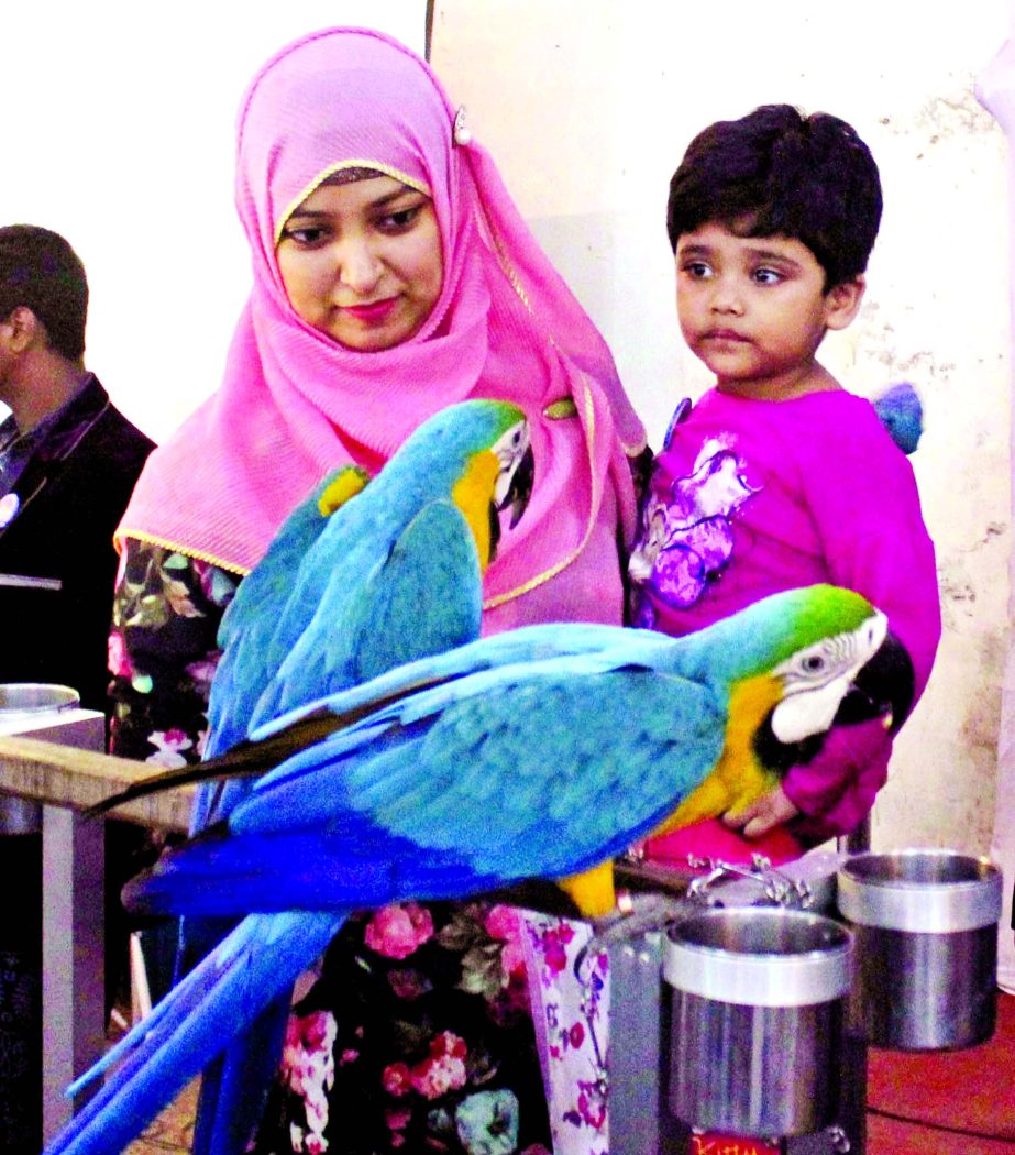 Avi Cultural Society of Bangladesh organised the two-day long foreign birds fair at the Jatiya Press Club premises on Thursday.