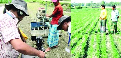RANGPUR: Adoption of the conservation agriculture -based technology becoming popular among the farmers in increasing crop production at reduced costs in the northern districts in recent years.