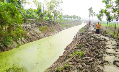 JHENAIDAH: Bangladesh Agriculture Development Corporation (BADC) has been re-excavating irrigation canal in different direction to save houses of vested quarters . This snap was taken on yesterday.