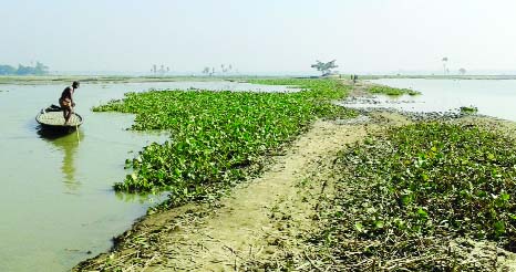 NAOGAON: The communication between Naogaon Sadar to Bandaekhara Bazar has been disrupted due to the local beel . This picture was taken on Friday.