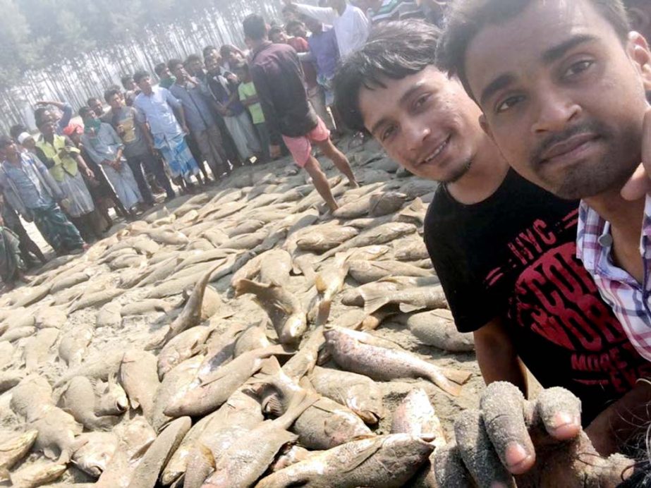 People watching some 436 pieces of Ranga Chanda Fish which were caught by fishermen from Teknaf point on Saturday.