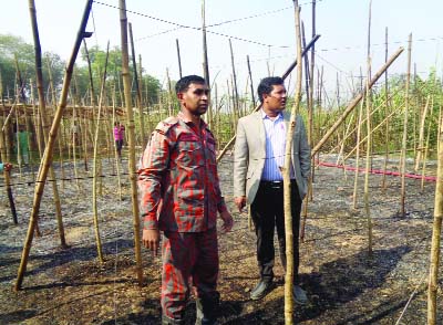 JHENAIDAH: Md Sadikur Rahman, UNO, Kaliganj Upazila visiting gutted betel nuts and sugarcane fields at Shalikha Village on Sunday.