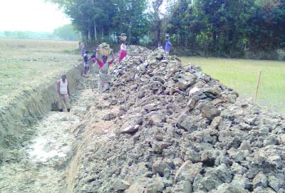 KULAURA (Moulvibazar): Local people repairing 500-feet Shomshernagor-Nittanandapur Road in Kamalganj Upazila of Moulvibazar voluntarily. This snap was taken on Saturday.