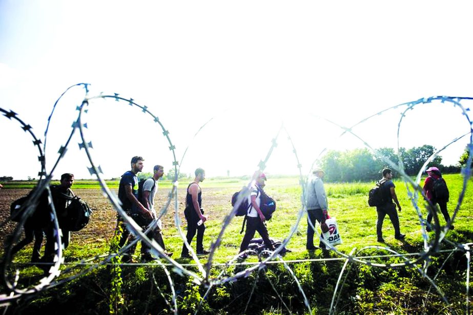 Refugees on the Hungarian-Serbian border.