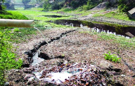 SIRAJGANJ: Poisonous toxic wastes discharged from yarn dyeing and processing mills polluting different water bodies at Belkuchi Upazila. This snap was taken from Chala Village yesterday.