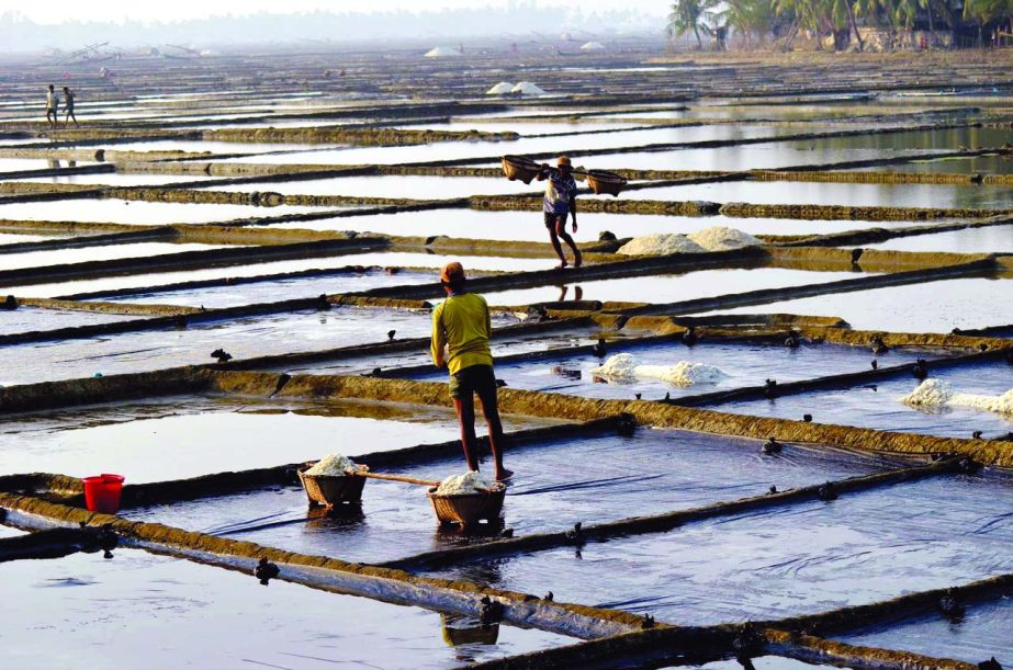 Seasonal salt farmers at Samara Salt field in Maheshkhali Upazila are tryingte save the submerged salt as sudden rain has damaged salt field on Wednesday.