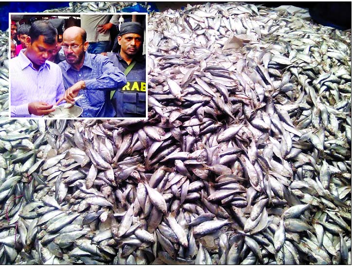 RAB-led magistrate (inset) seized huge â€˜Jhatka fishâ€™ from city's Jatrabari area on Tuesday for catching Jhatka fish illegally.