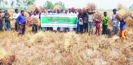 RANGPUR: A bumper production of wheat is likely as harvest has been nearing completion with excellent yield everywhere in Rangpur Agriculture region this season.