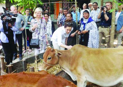 BABUGANJ (Barisal): Princess Mary , Princess of Denmark visiting a cattle farm at Rakudia Village on Wednesday. .