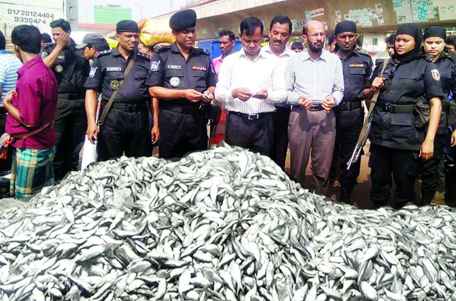 RAB mobile court on Monday sentenced four persons for selling jatka fish. About 1600 Kgs jatka were seized from the city's Jatrabari wholesale market on Monday.