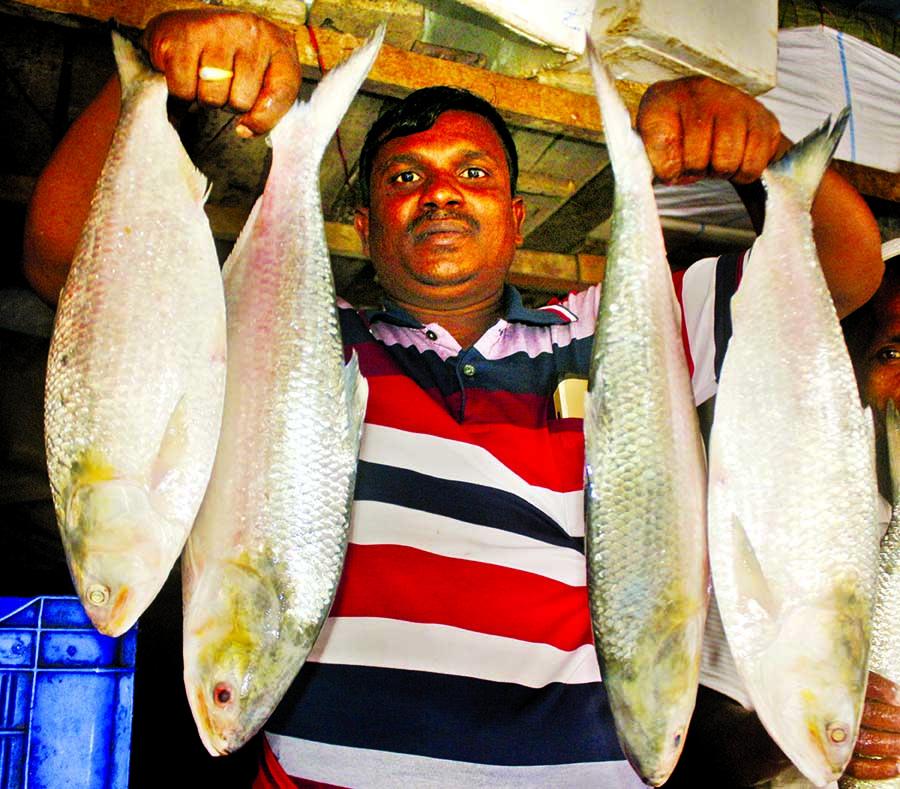 Taka 12,500 being charged for each piece of Hilsha fish on Thursday, a day ahead of Pahela Baishakh. This photo was taken from Kawran Bazar.