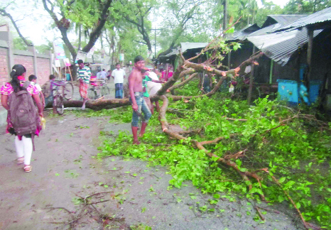 SUNDARGANJ(Gaibandha): A banyan tree uprooted and houses were damaged in front of Sundarganj Upazila Parishad by nor'wester on Saturday.