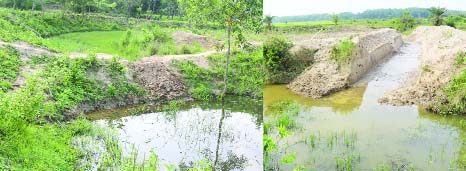 BHALUKA (Mymemsingh): The natural water flow of Dakatia Canal is being hindered as an influential quarter has grabbed the both sides of the canal causing waterlogging . Boro paddy cultivation in the adjacent areas is also being affected . Urgent step