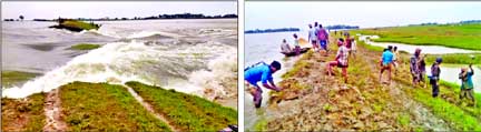 A major portion of the embankment of Shonir Haor in Tahirpur Upazila in Sunamganj collapsed early Sunday due to flash flood. About 10,000 hectares of cropland have been damaged. This photo was taken from Lalurgoala embankment (left). Local farmers struggl