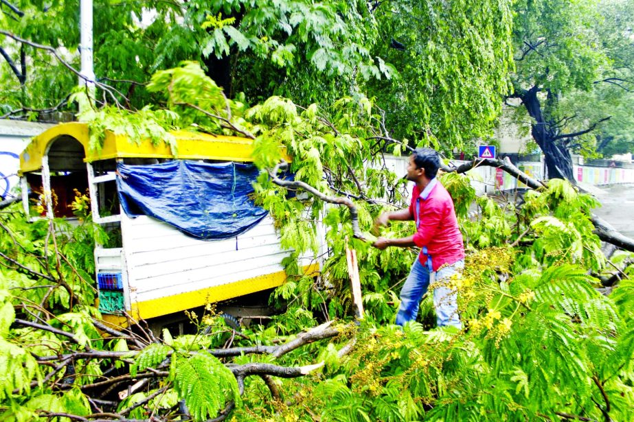 Three passengers received injuries when a tree fell down on a tempo in front of Curzon Hall of Dhaka University as Nor'wester hit city on Monday disrupting road traffic also.